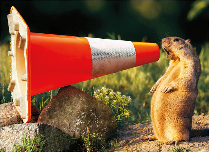 Avanti - Groundhog Construction Congratulations Card