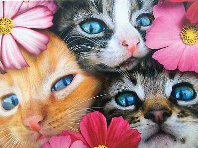 Avanti - Group Hug Birthday Card