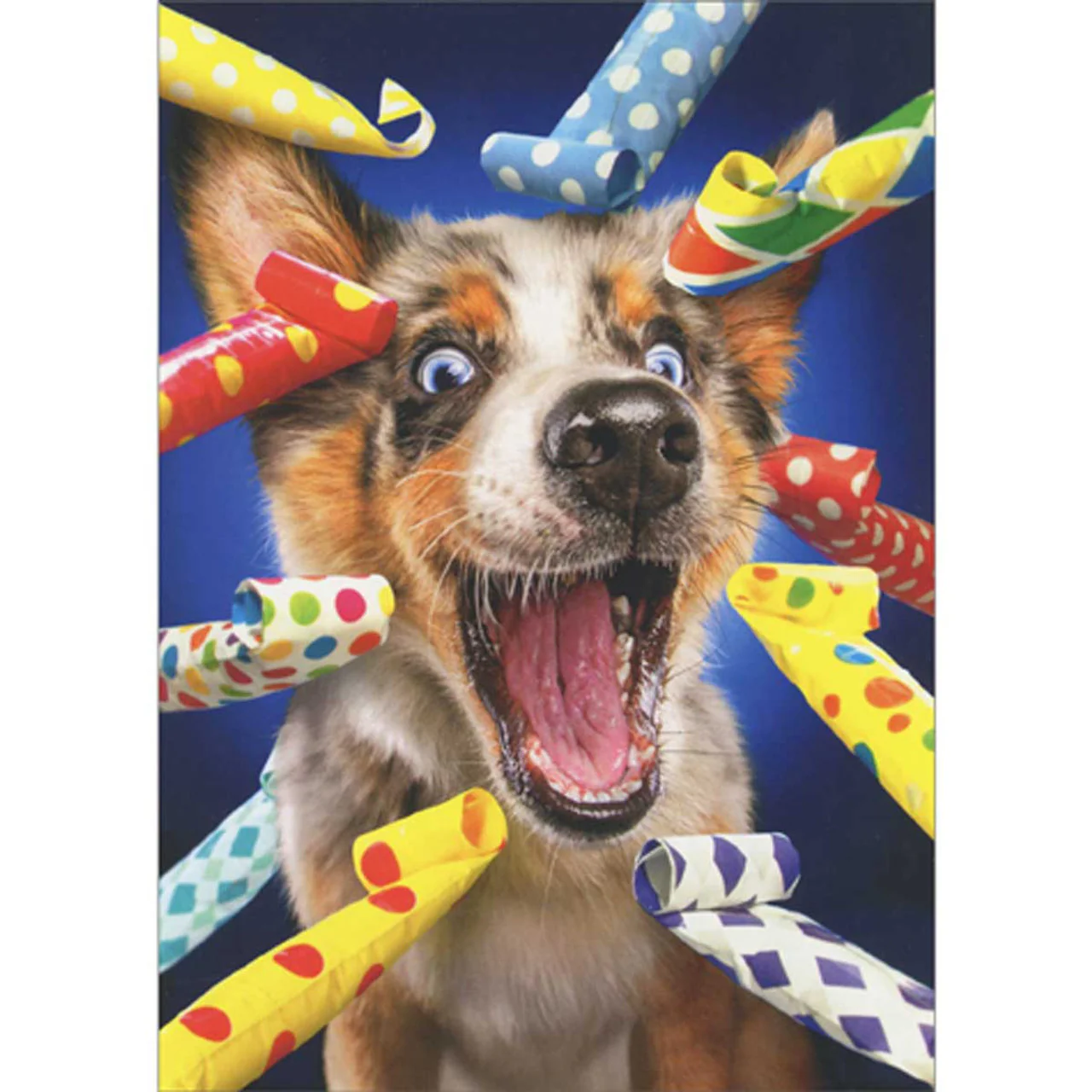 Avanti - Happy Dog Party Blowers Birthday Card