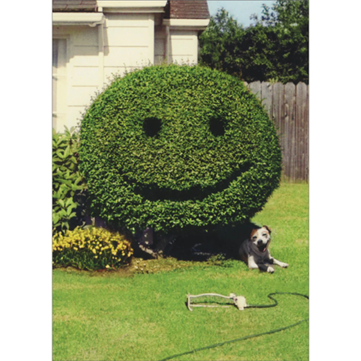 Avanti - Happy Hedge (Shrub) New Home Card