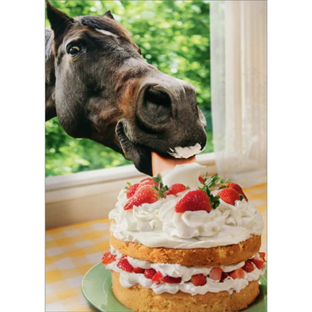 Avanti - Horse in Window Eating Cake Friendship Card