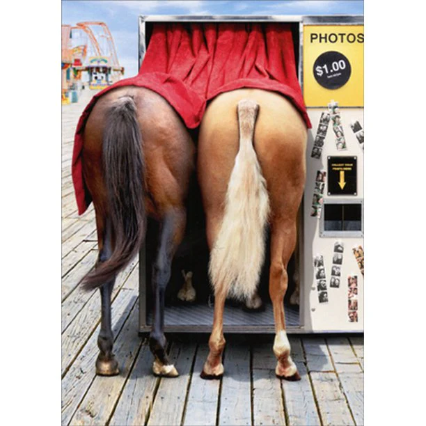 Avanti - Horses in Photo Booth Birthday Card