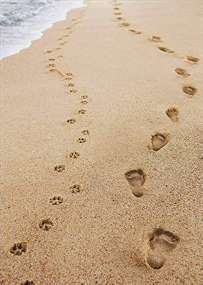 Avanti - Human and Dog Footprints Pet Sympathy Card