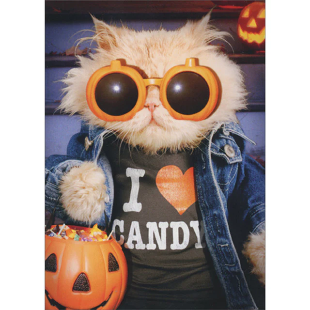 Avanti - I Heart Candy Cat Halloween Card