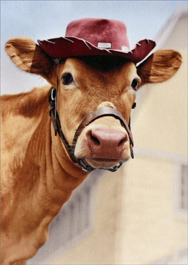 Avanti - Jersey Cow Friendship Card