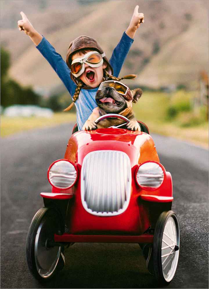 Avanti - Kid and Dog in Go Cart Graduation Card