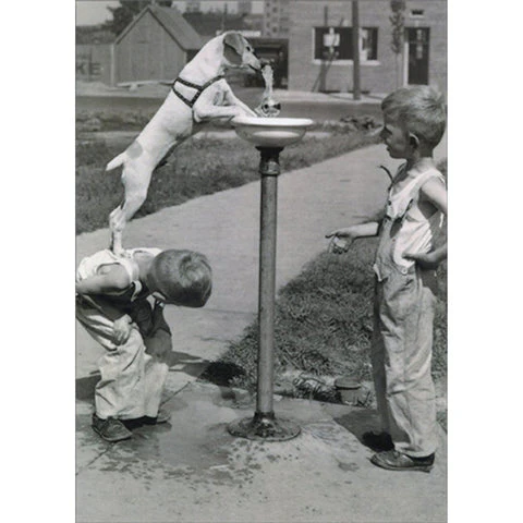 Avanti - Kids With Dog at Water Fountain Encouragement Card