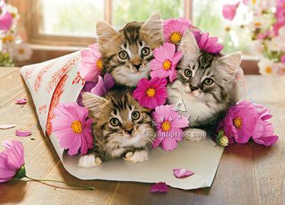 Avanti - Kitten Bouquet Birthday Card