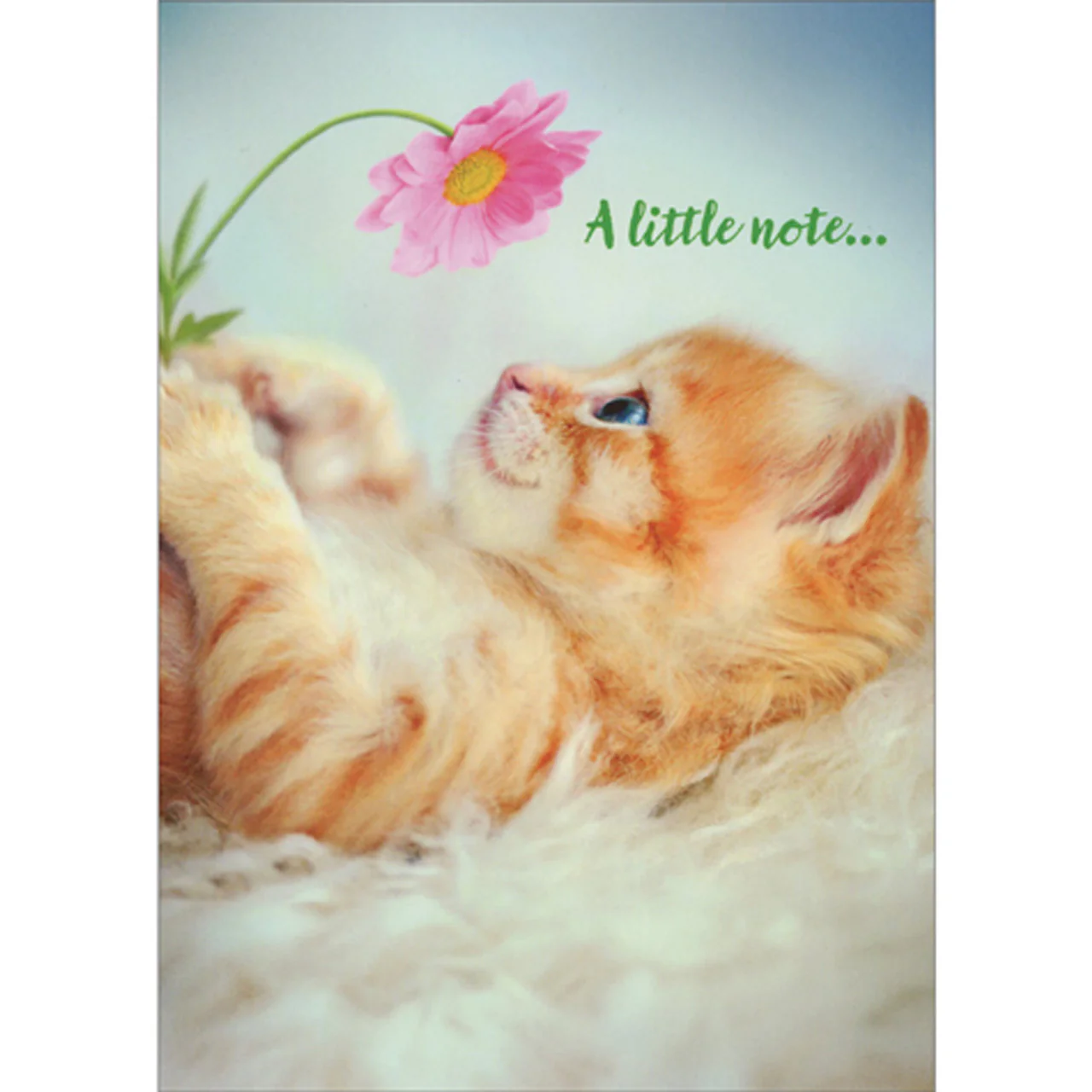Avanti - Kitten Holding Flower Thank You Card