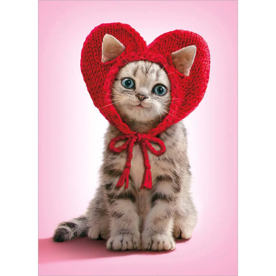 Avanti - Kitten Knit Heart Hat Valentine Card