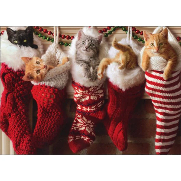 Avanti - Kittens in Stockings Christmas Card