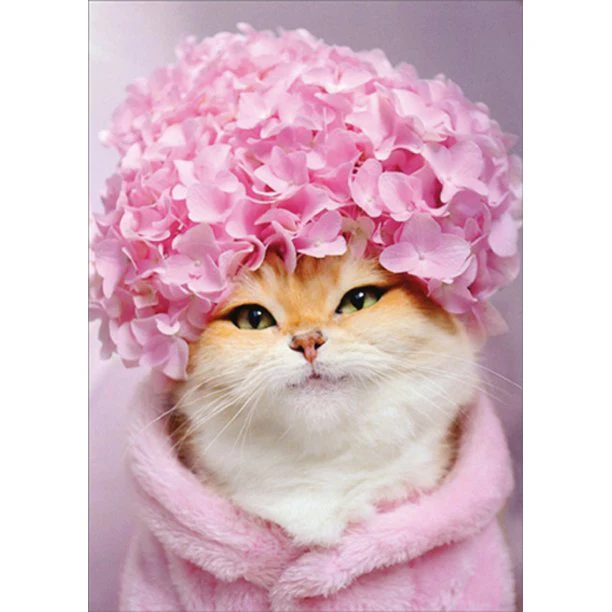 Avanti - Kitty Cat Hydrangea Cap Birthday Card