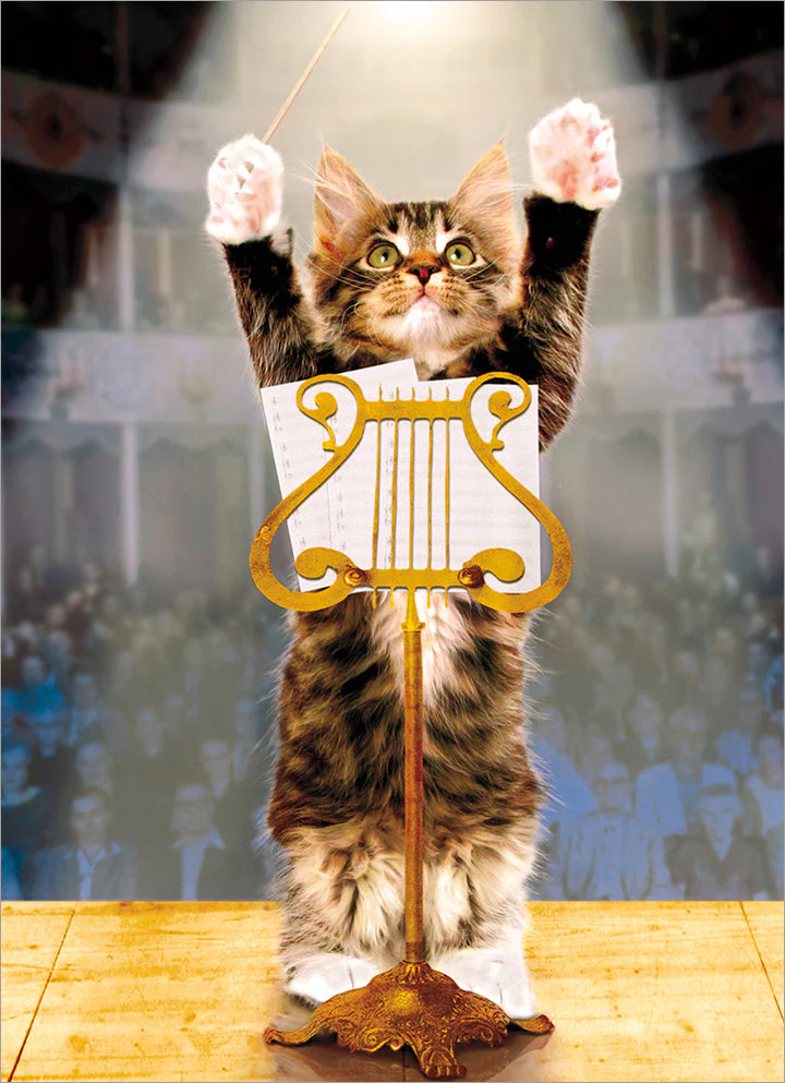 Avanti - Kitty Konductor Congratulations Card