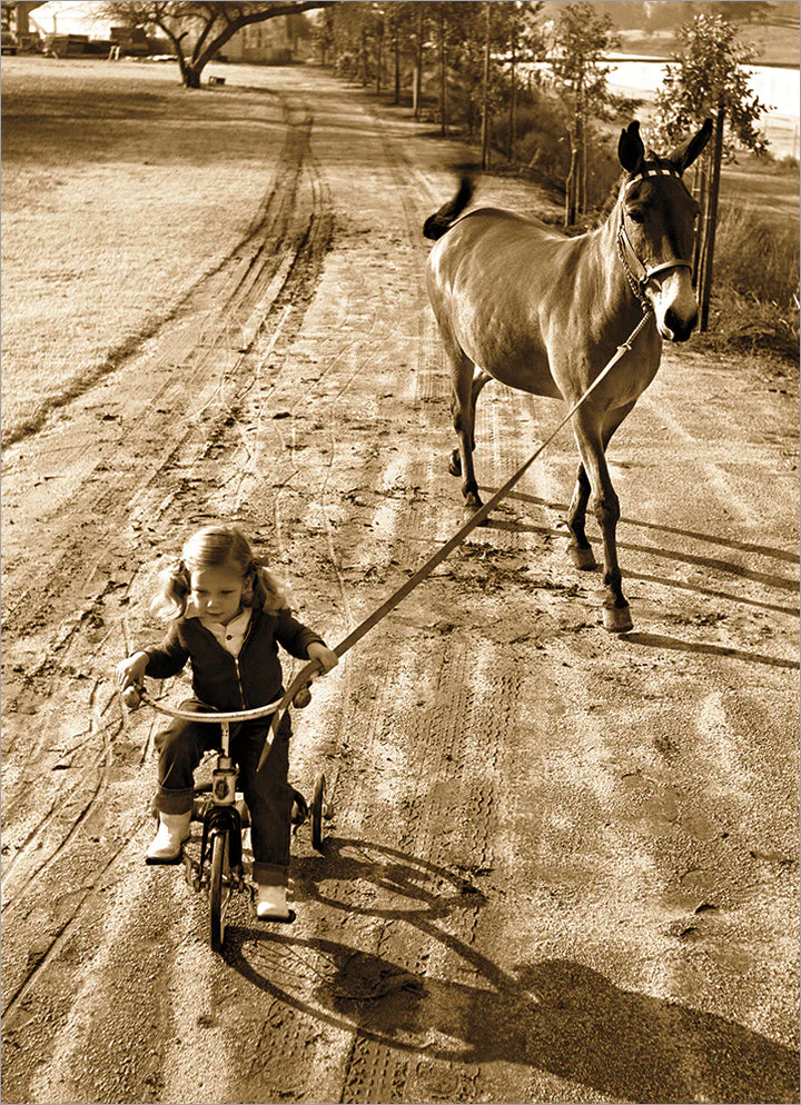 Avanti - Little Girl with Mule Best Wishes Card