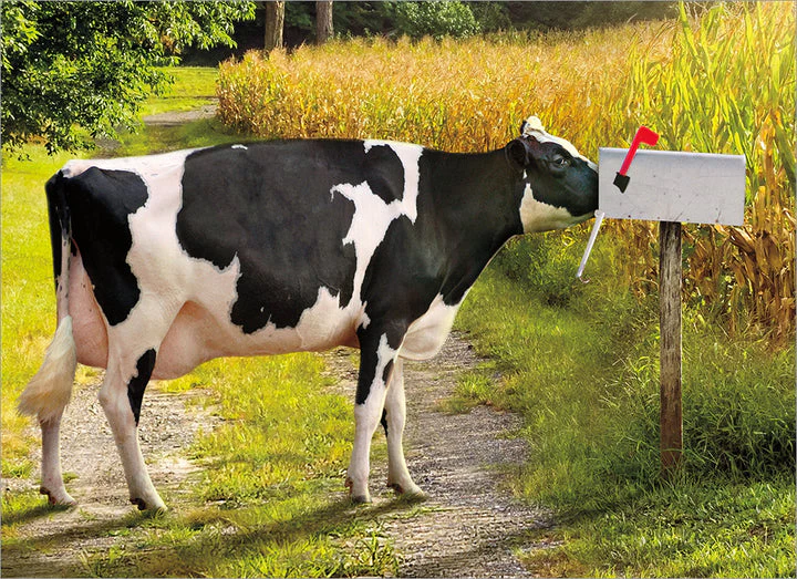 Avanti - Mailbox Cow Friendship Card