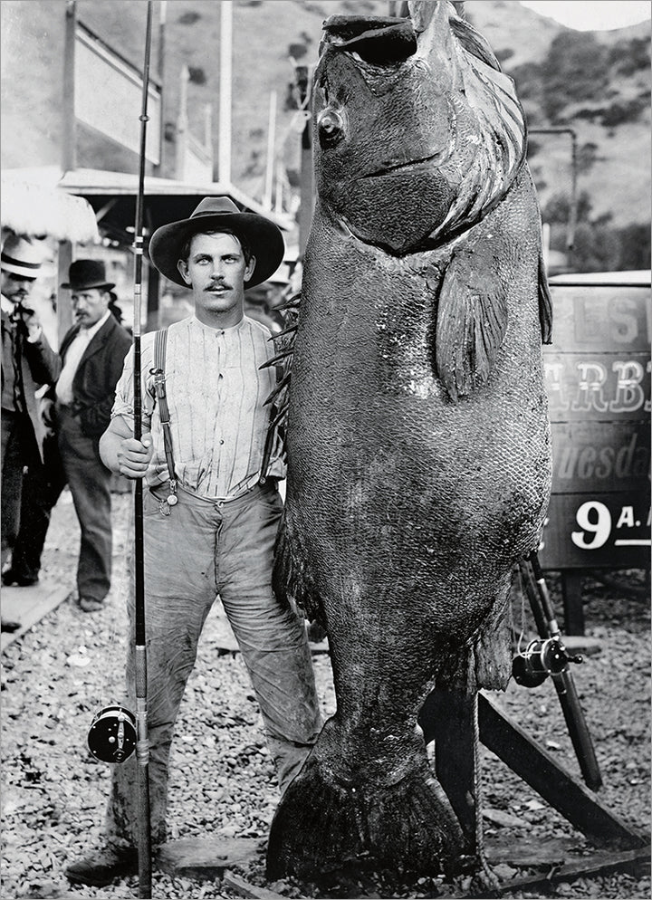 Avanti - Man and Black Sea Bass Birthday Card