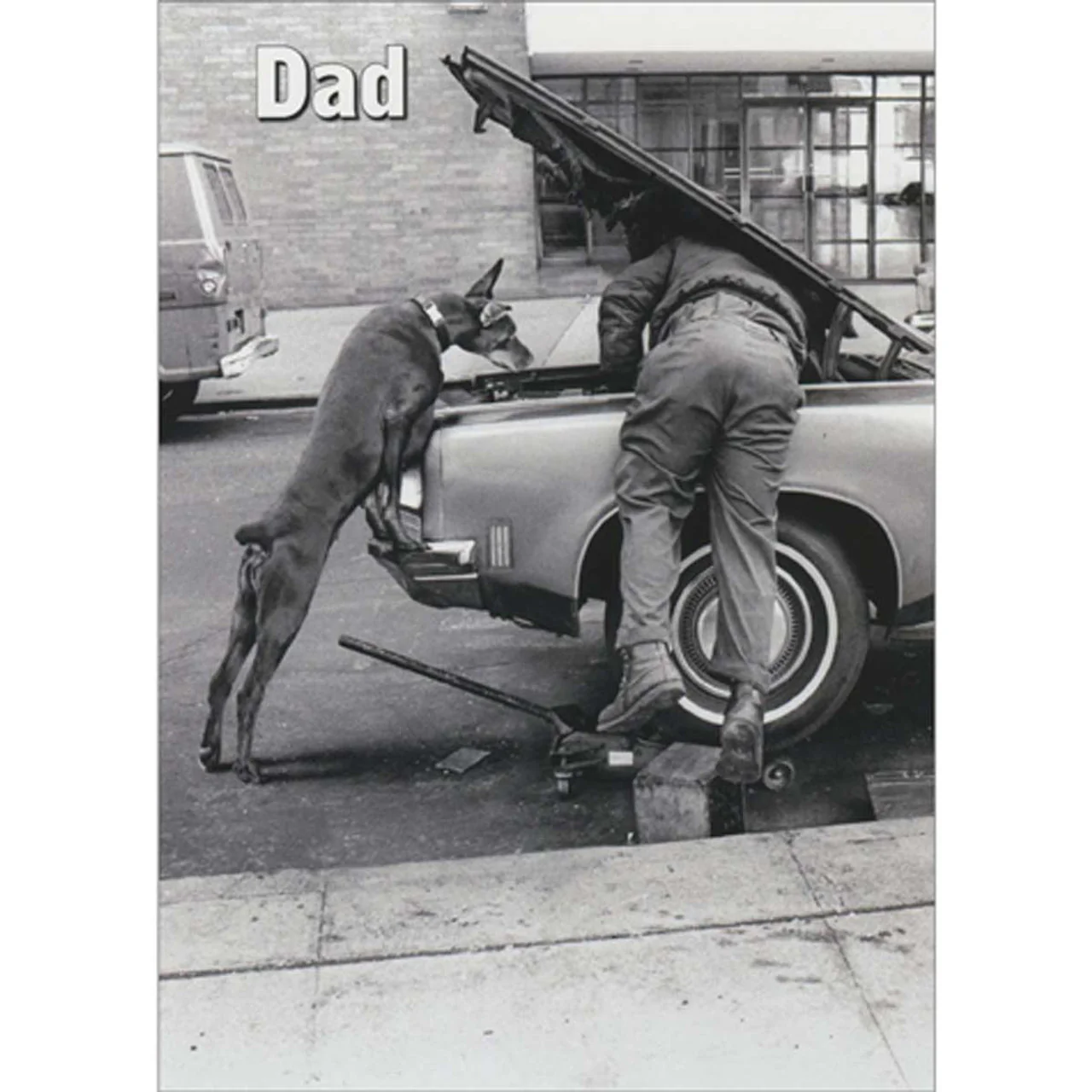 Avanti - Man And Dog Engine Tune-Up Birthday Card