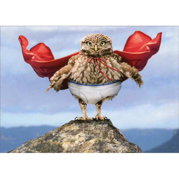 Avanti - Owl Superstar Birthday Card