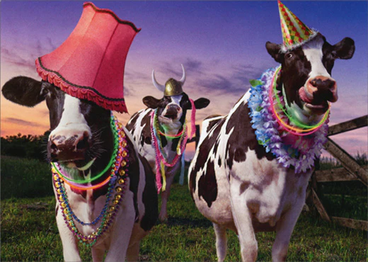 Avanti - Party Cows Birthday Card