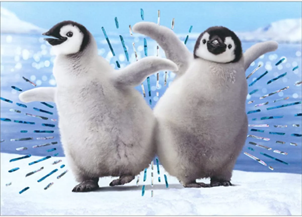 Avanti - Penguins Dancing Bump Birthday Card