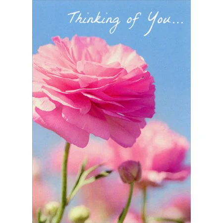 Avanti - Pink Flower Sympathy or Support Card