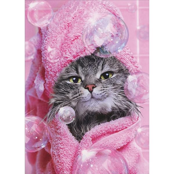 Avanti - Pink Towel on Cat Birthday Card