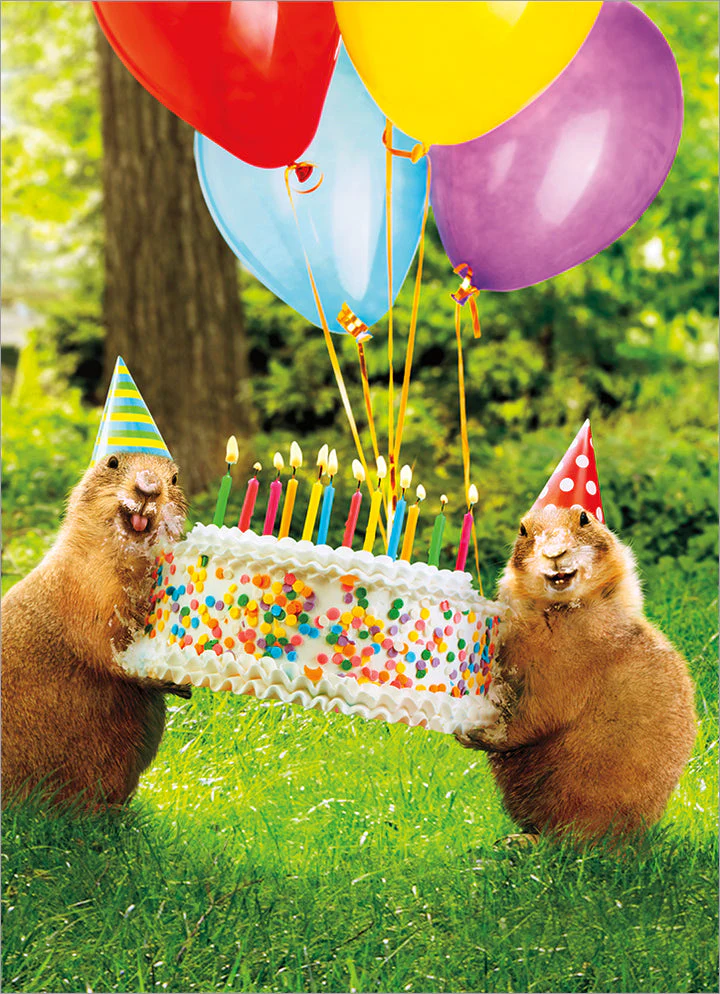 Avanti - Prairie Dog Party Birthday Card