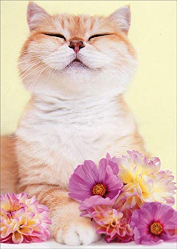 Avanti - Pretty Cat with Flowers Mother's Day Card