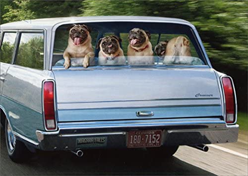Avanti - Pug Dogs in Station Wagon Birthday Card