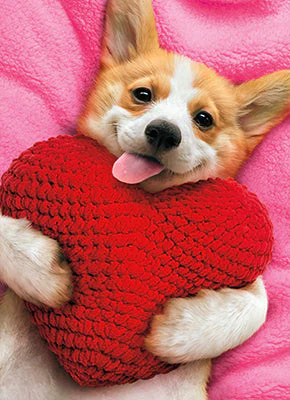 Avanti - Puppy Heart Pillow Valentine Card
