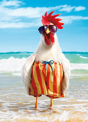 Avanti - Rooster In Swimsuit Birthday Card
