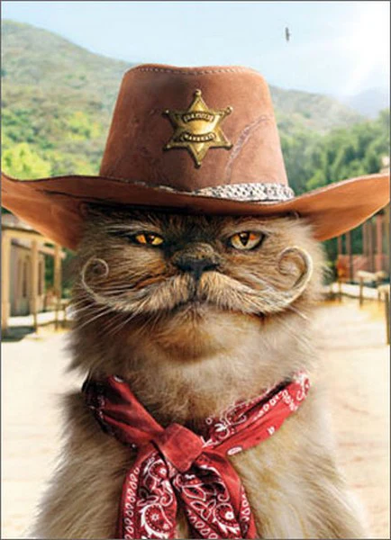 Avanti - Sheriff Cat with Mustache Pop-Out Birthday Card