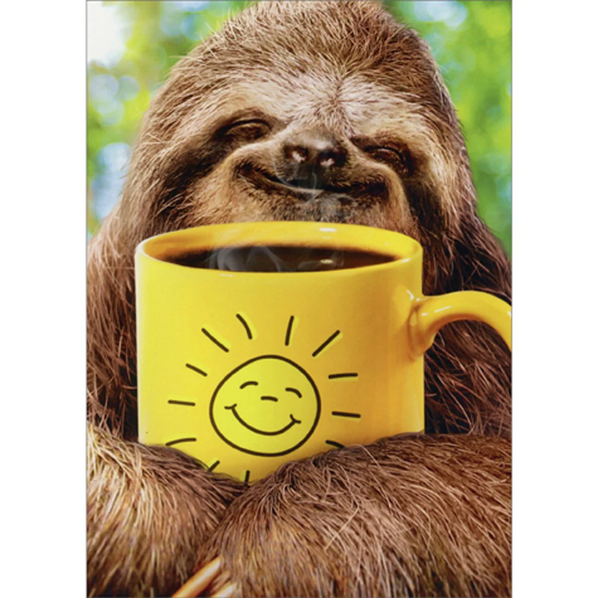 Avanti - Sloth with Coffee Supportive Card