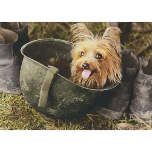 Avanti - Smoky The War Dog Blank Card