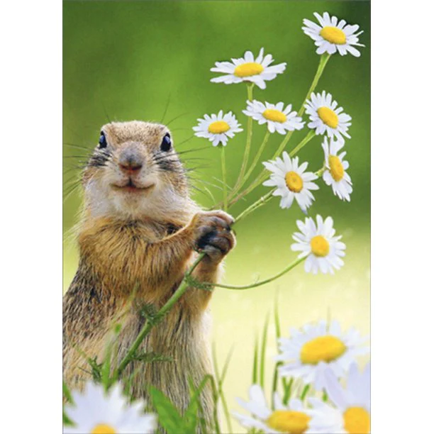 Avanti - Squirrel Holding Flowers Thank You Card