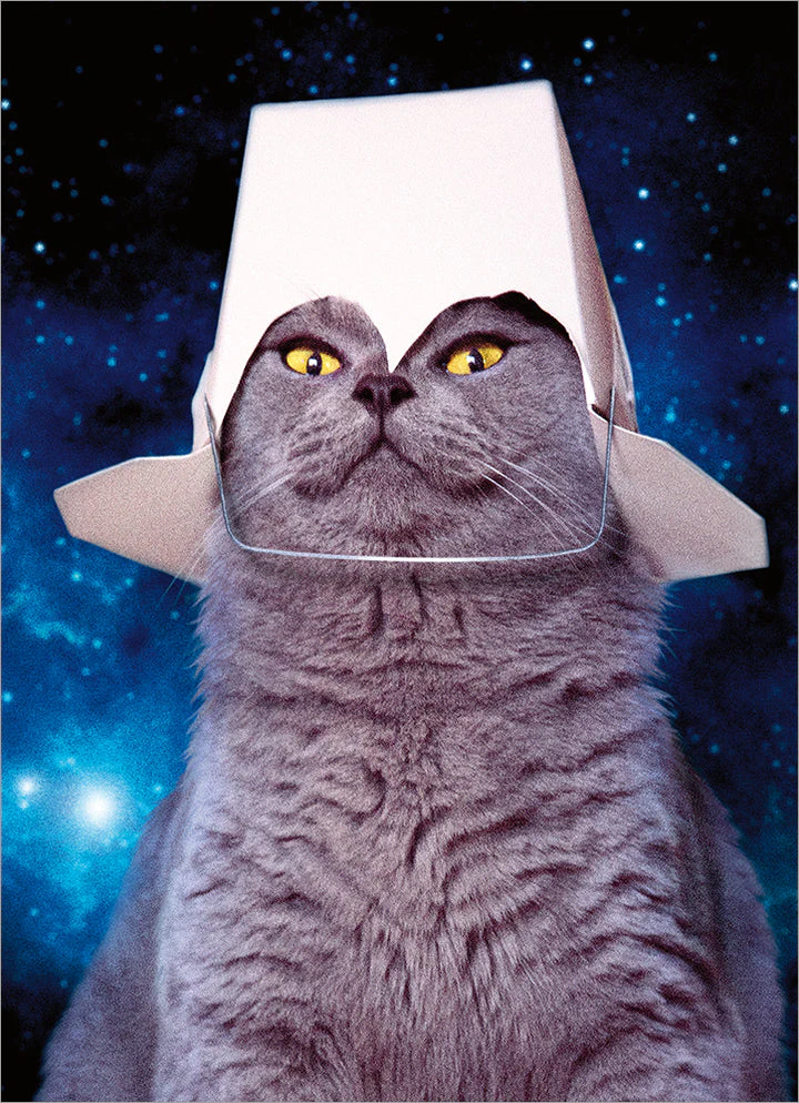 Avanti - Takeout Space Cat Pop Out Birthday Card