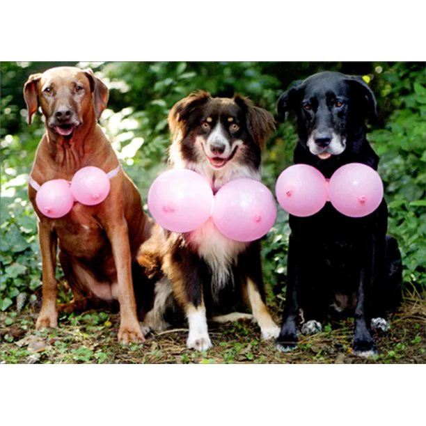 Avanti - Three Dogs Wearing Pink Balloons Birthday Card