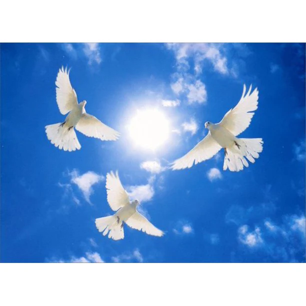 Avanti - Three White Doves Circling Sympathy or Support Card