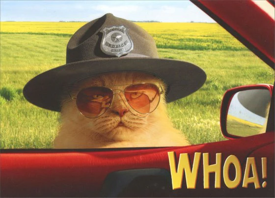 Avanti - Trooper Cat Pop Out Birthday Card