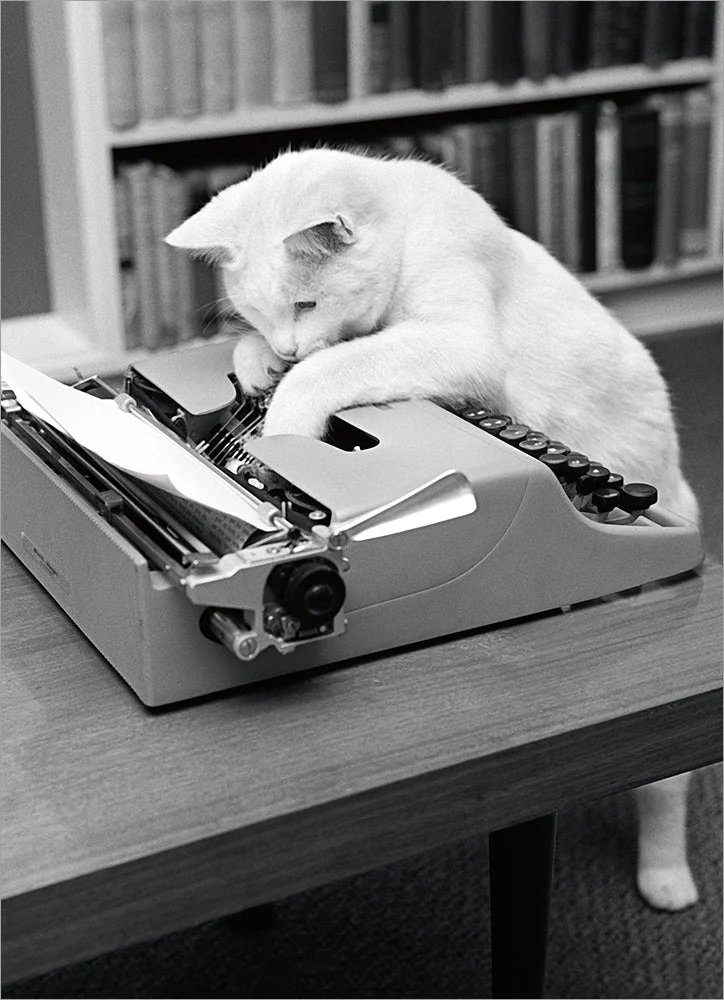 Avanti - Typewriter Cat Birthday Card