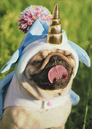 Avanti - Unicorn Pug Birthday Card