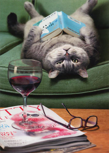 Avanti - Upside Down Cat Reading Book Mother's Day Card