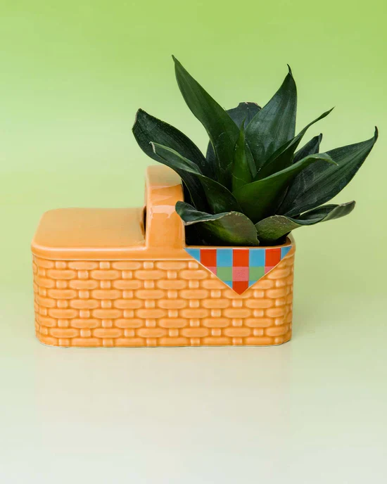 Ban.do - Picnic Basket Planter