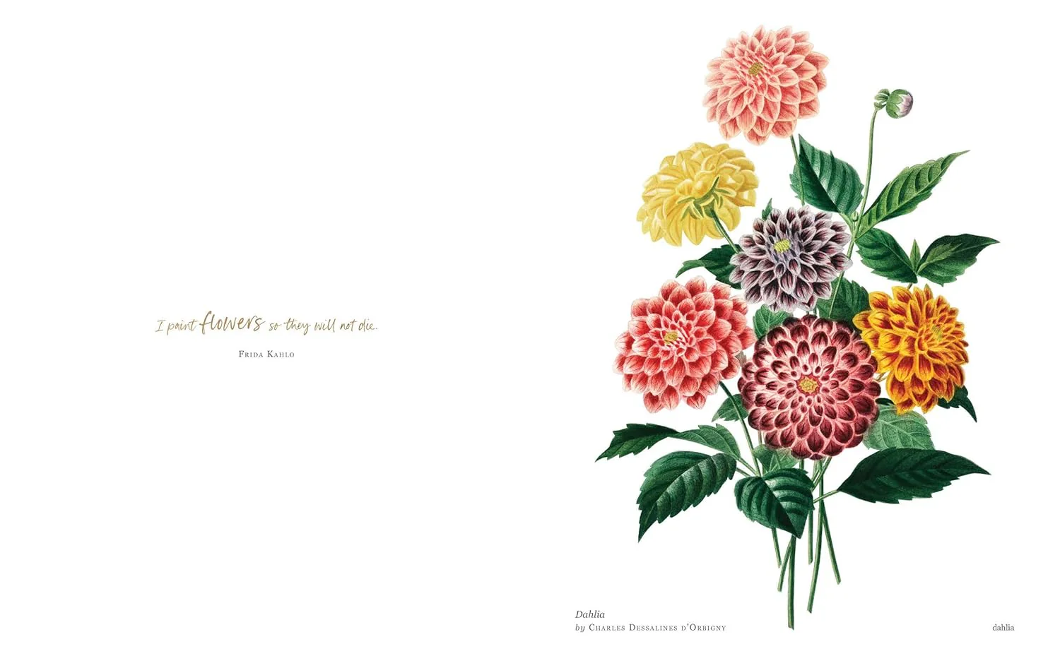 Biblioflora: A Celebration of Floral Beauty in Botanical Art by Jeanne Batiste - Image 4