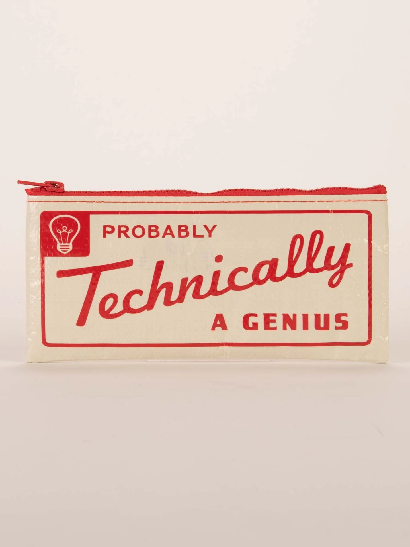 Blue Q - Probably A Genius Pencil Case