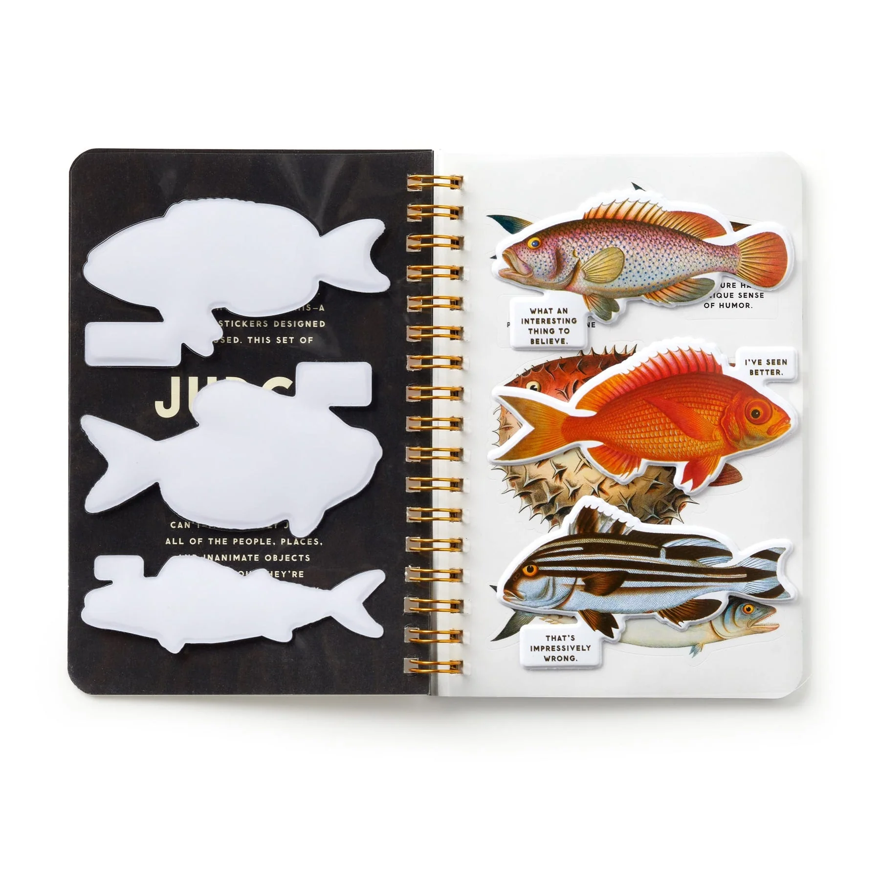 Brass Monkey - Judgy Fish Sticker Book - Image 4