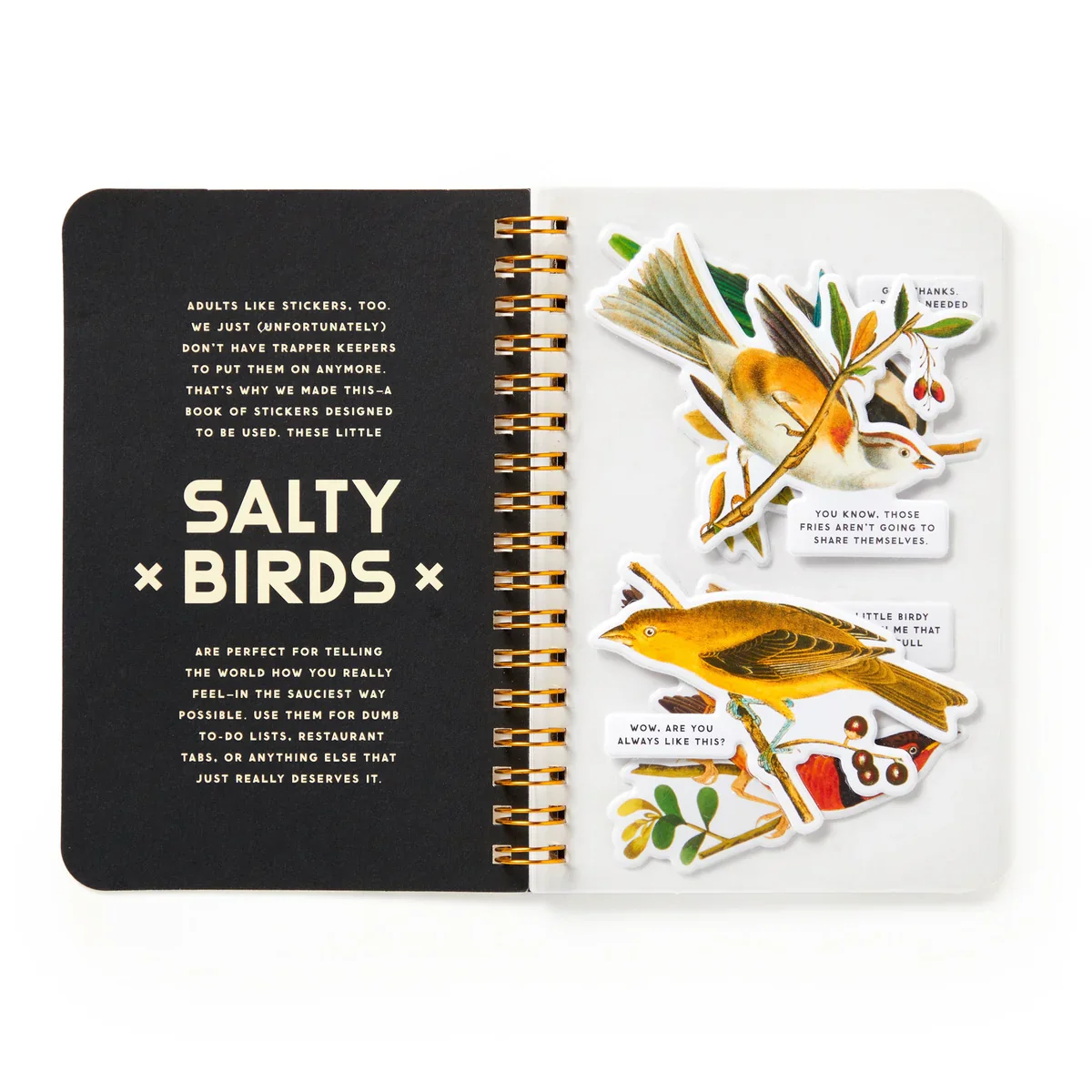 Brass Monkey - Salty Birds Sticker Book - Image 3