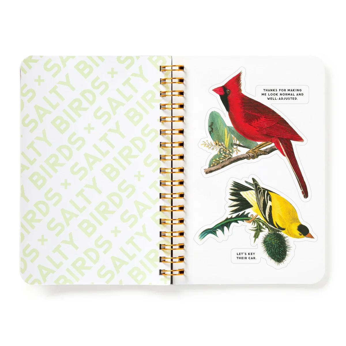 Brass Monkey - Salty Birds Sticker Book - Image 6