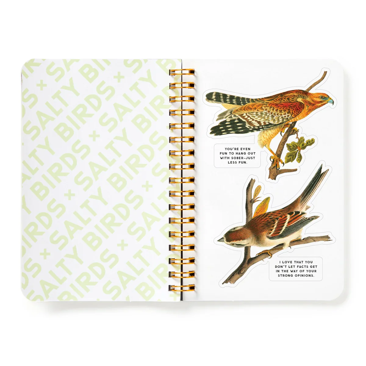Brass Monkey - Salty Birds Sticker Book - Image 7