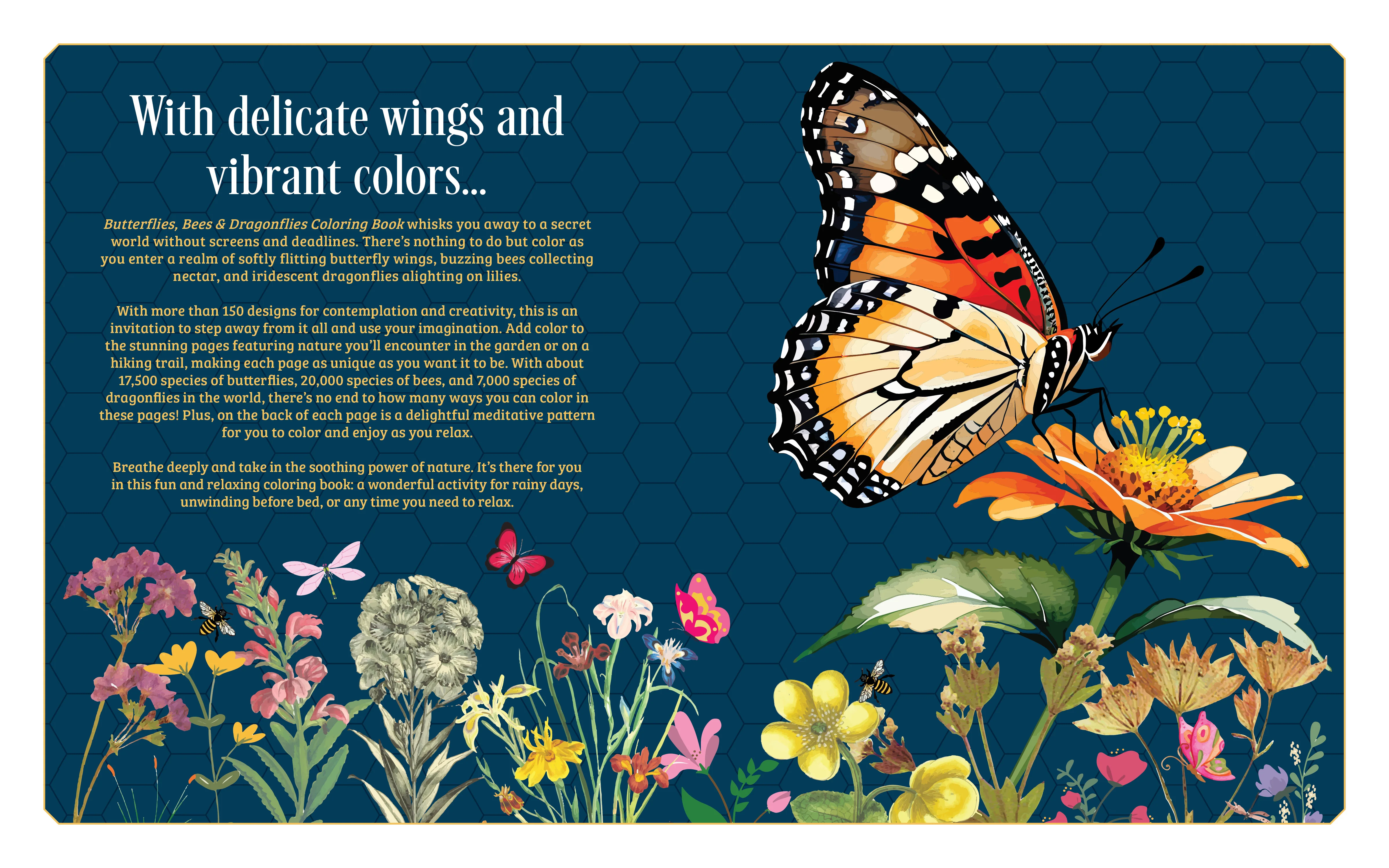 Butterflies, Bees and Dragonflies, Coloring Book - Image 2